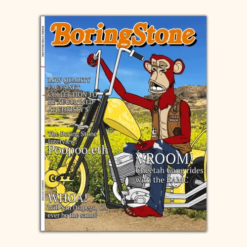 BoringStone #3411