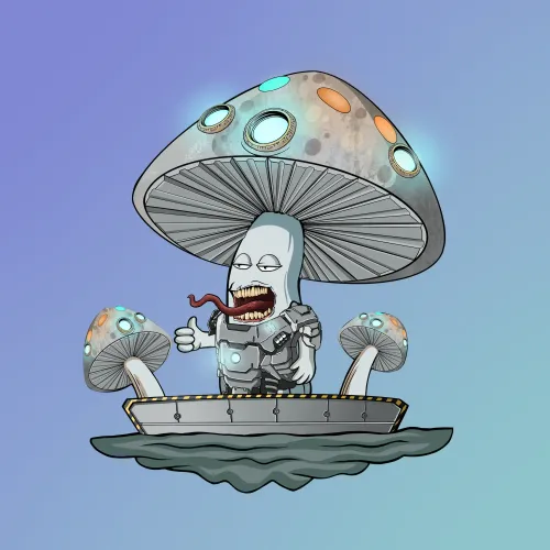 #578