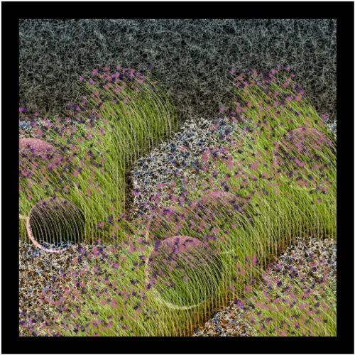 Eternal Garden #361 (#80404990)