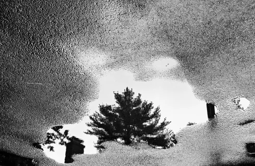 Perfect Reflection #18459000