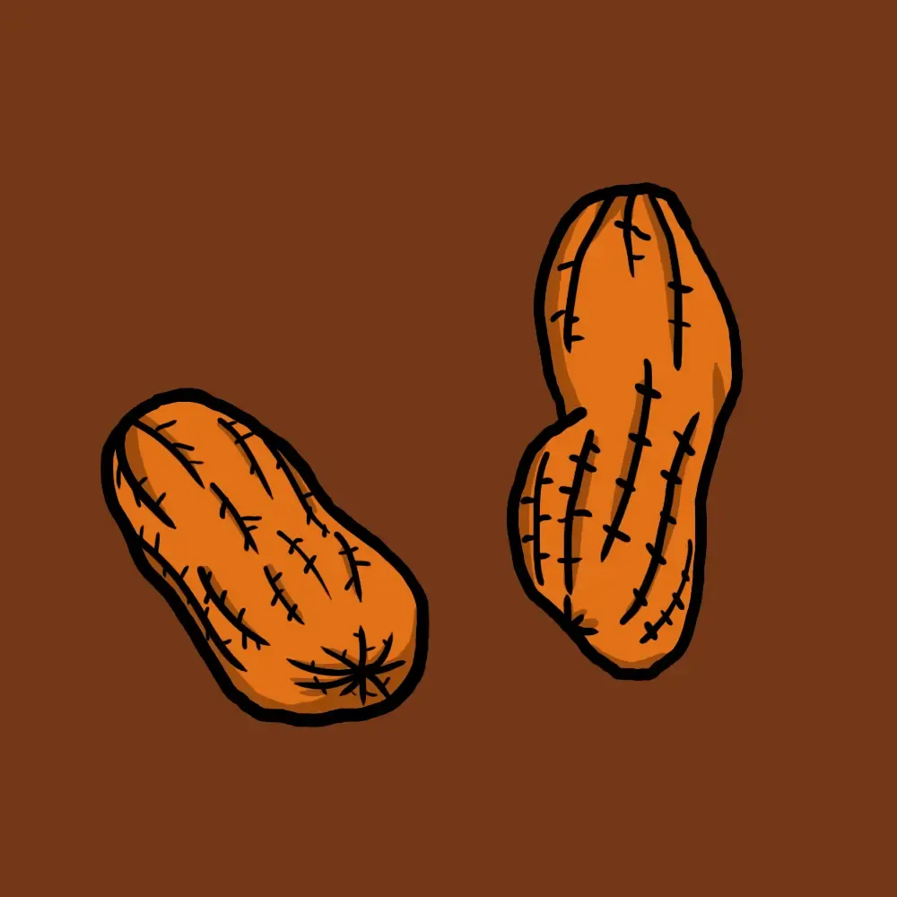 Pnuts #57410