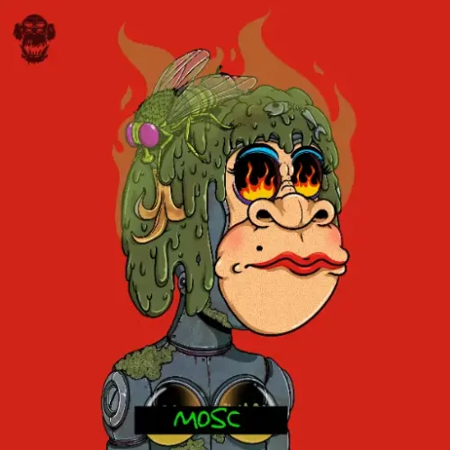 Lady MOSC #14