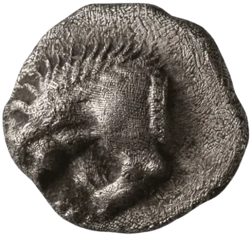 Tritartemorion (#104628414)