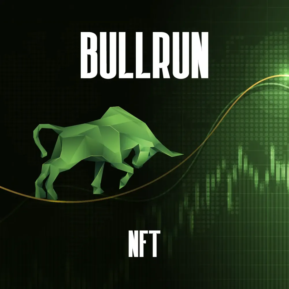 Bullrun #79