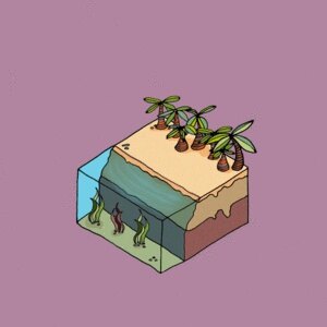 BeachL7 #36