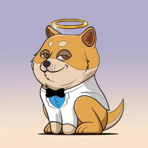 BabyDoge #1306