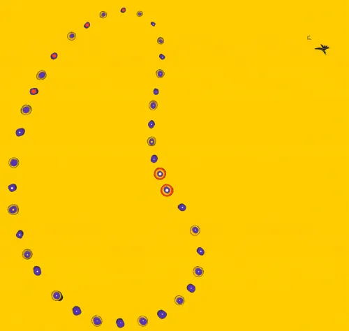 Fruit of Minimalism and Overlap #9