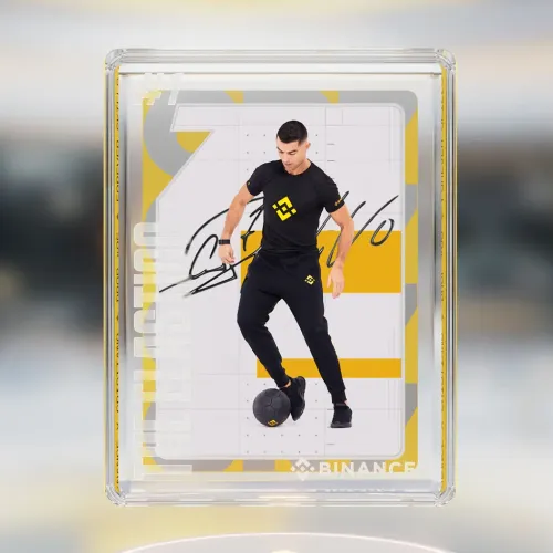 The Elastico