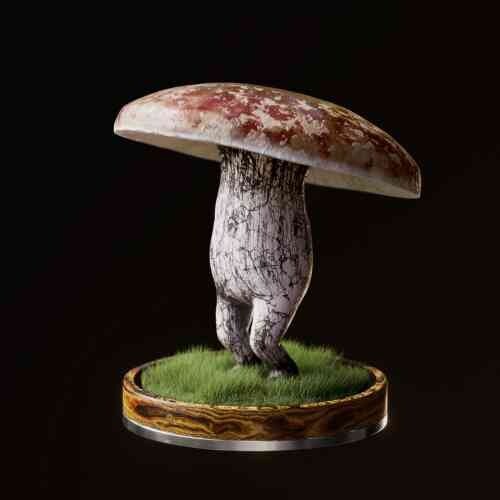 Fungi #5325