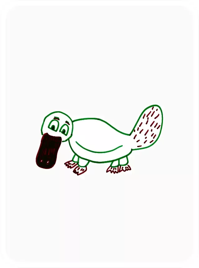 PleasantPlatypus #7257