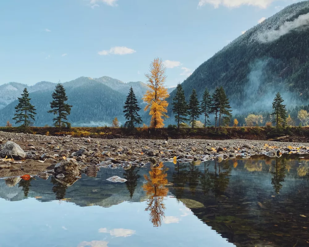 Fall Reflection #21