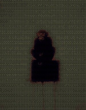 monkeys81 #81
