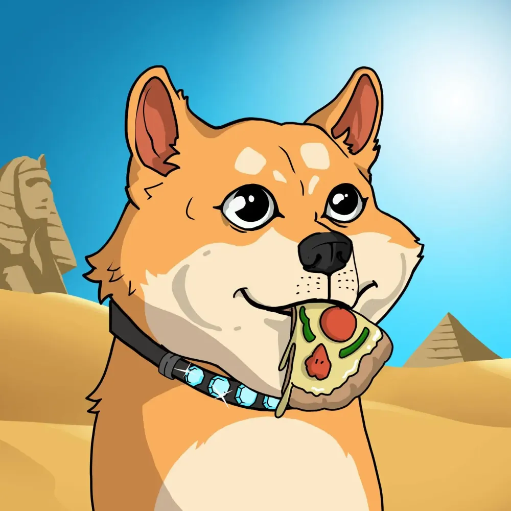 Shiba inu 2024#1