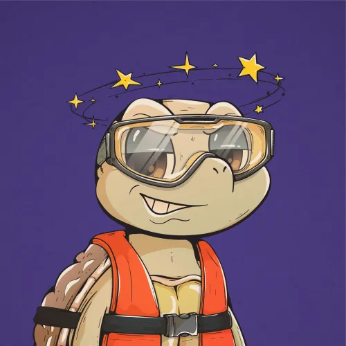 Shellmate #529