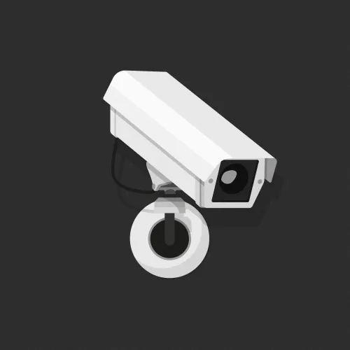 Camera W-2D2D2D #46