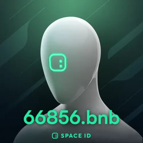 66856.bnb #9