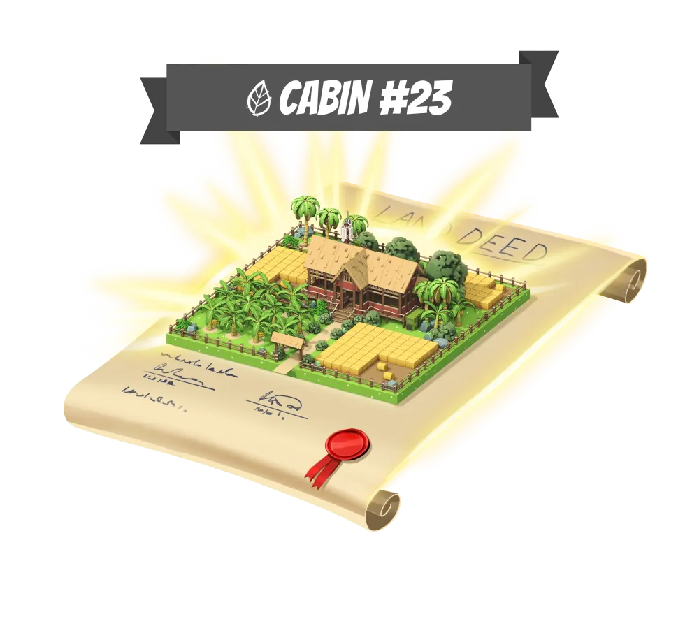 Cabin 23