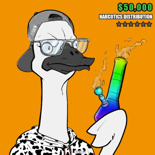 Ostrich #991