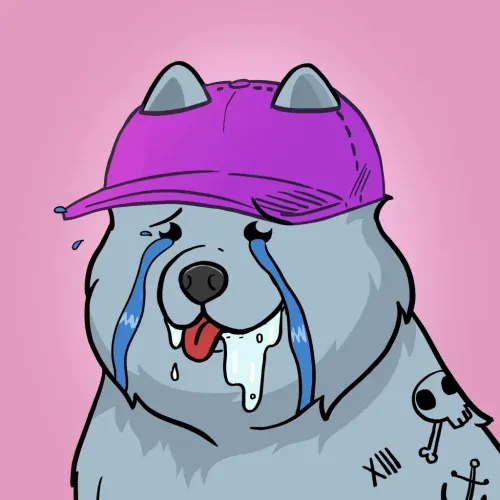 Samoyed #4613
