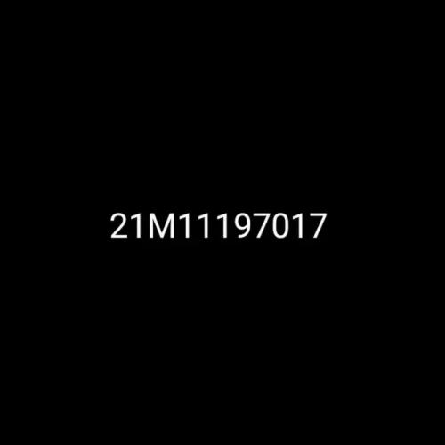21M11197017 #7