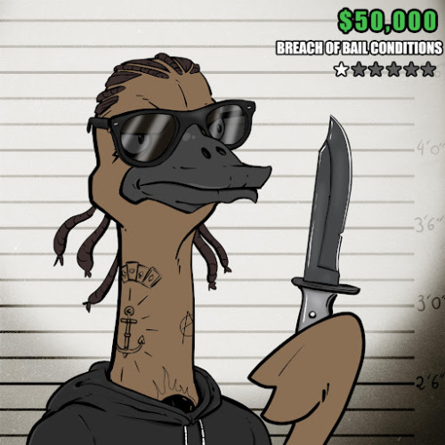 Ostrich #527