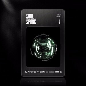Soul Spark I #1