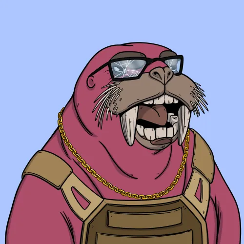 We Are The Walrus #5100