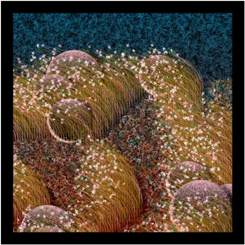 Eternal Garden #366 (#80404995)