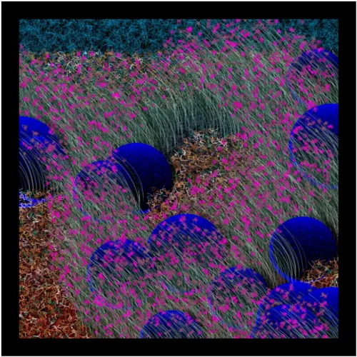 Eternal Garden #370 (#80404999)