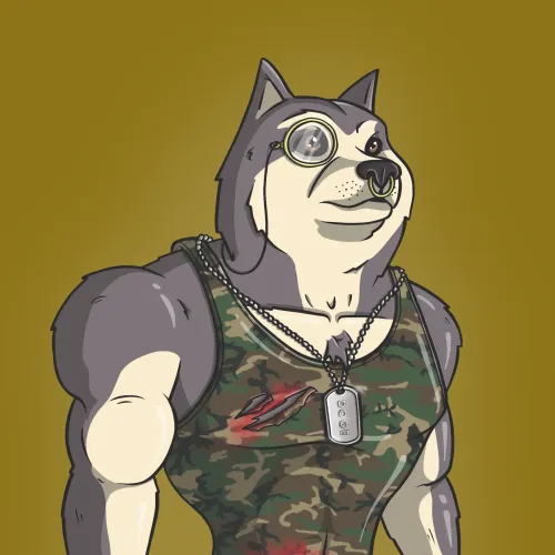 Doge Army #107