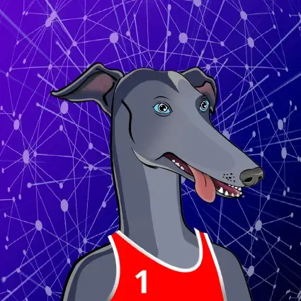 Unnamed Racer #2439
