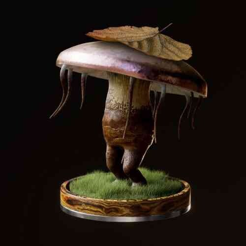 Fungi #85