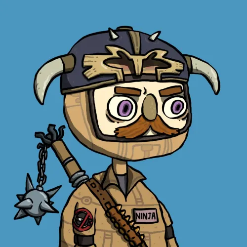 Ninja #6753