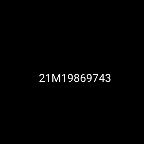 21M19869743 #8