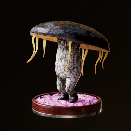 Fungi #2720