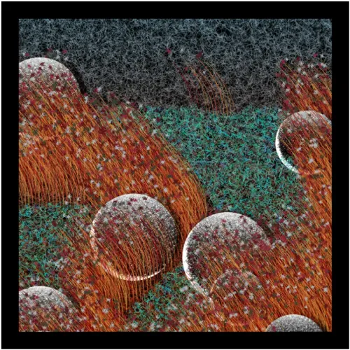 Eternal Garden #362 (#80404991)