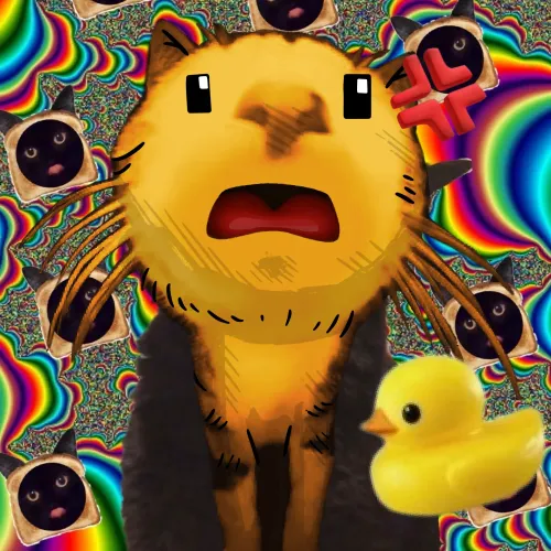 WEIRD CATS219