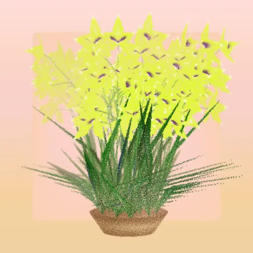 Cattleya #57