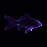 CryptoFish