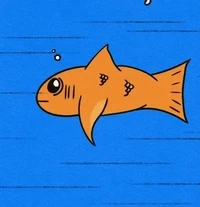 Jake Zelinger x Something’s Fishy