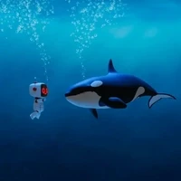 OP Orcas