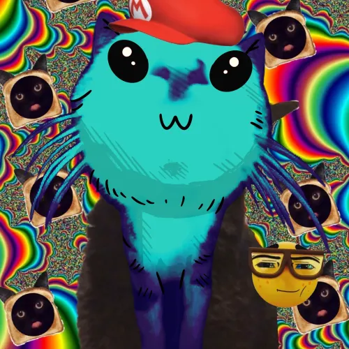 WEIRD CATS1007