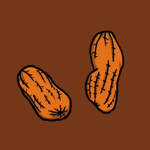 Pnuts #38010