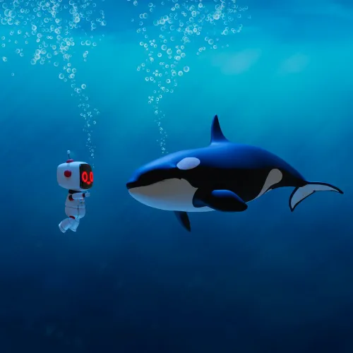 OP Orca #875