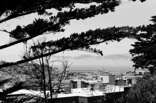 The 3 Branches #58