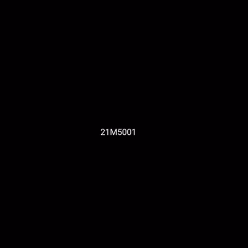 21M5001 #6