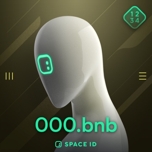 000.bnb #12